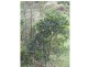 L6 Teitzel Road, East Feluga QLD 4854