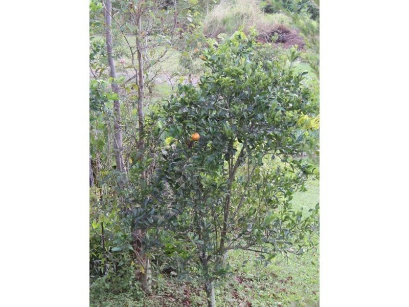 L6 Teitzel Road, East Feluga QLD 4854