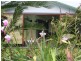 21 Merryburn Drive, Merryburn QLD 4854