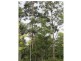 21 Merryburn Drive, Merryburn QLD 4854