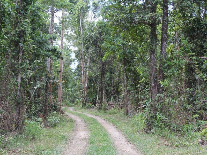 Shell Pocket QLD 4855