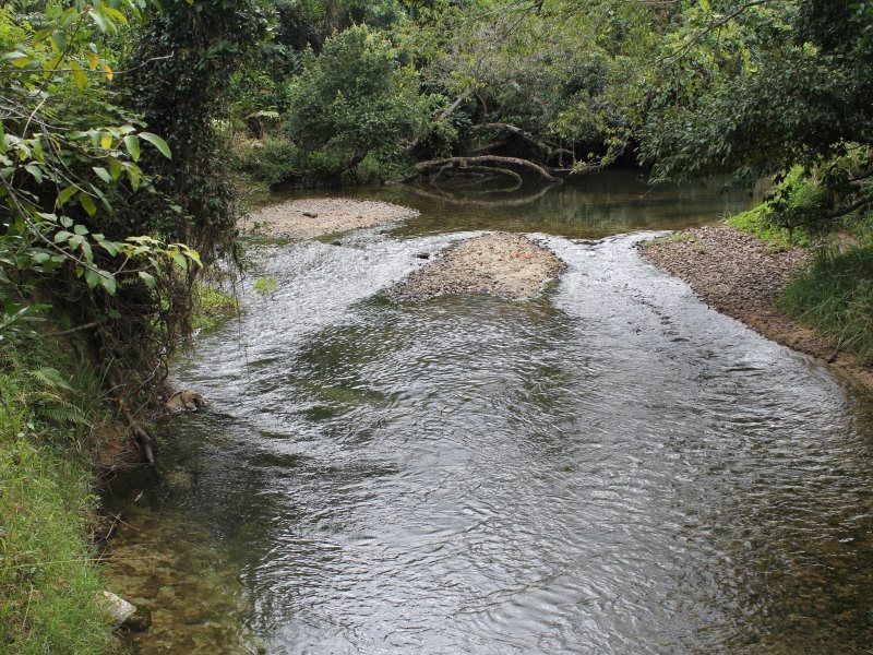 Shell Pocket QLD 4855