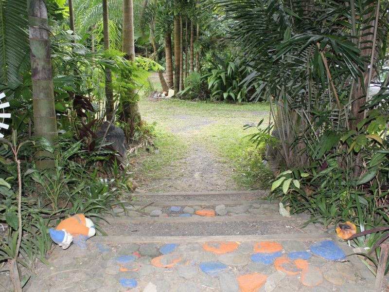 Shell Pocket QLD 4855