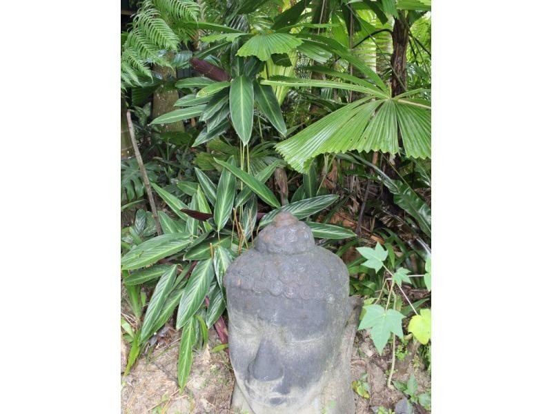 Shell Pocket QLD 4855