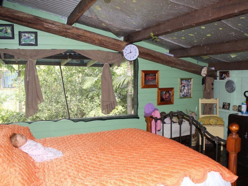 Shell Pocket QLD 4855