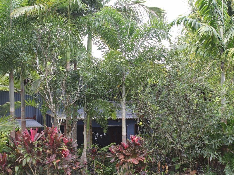 Shell Pocket QLD 4855