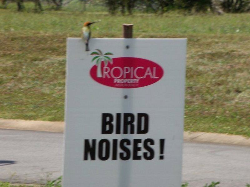 25 Shelley Court, Mission Beach QLD 4852