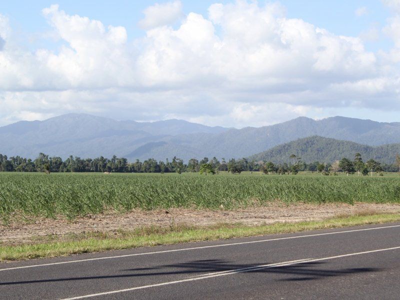 L14 Davidson Road, Munro Plains QLD 4854