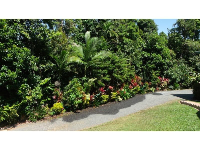 629 Bingil Bay Road, Bingil Bay QLD 4852