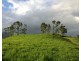 39 Hayter Road, Maria Creeks QLD 4855