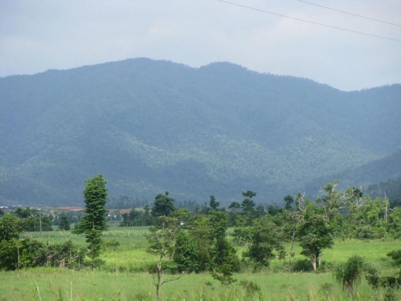 Lot 129 Djarawong Road East, Djarawong QLD 4854