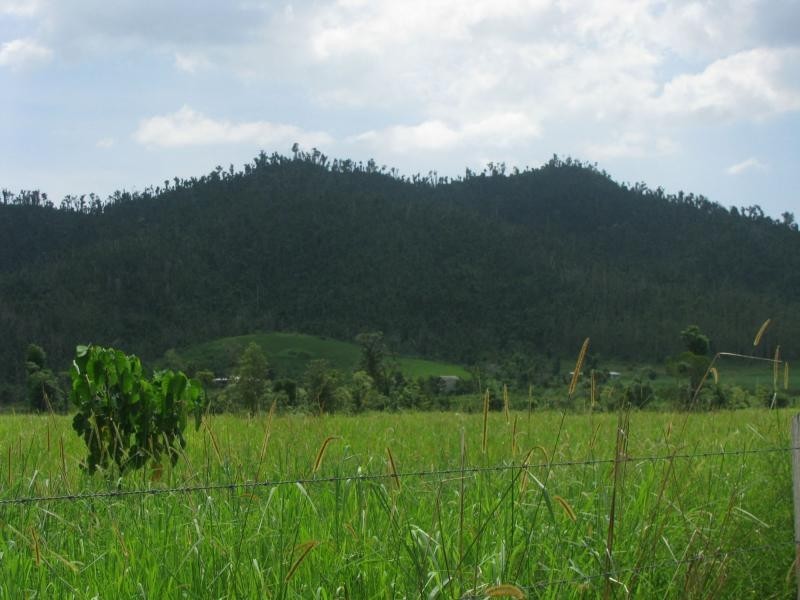 Lot 129 Djarawong Road East, Djarawong QLD 4854