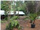 257 Utchee Creek Road, Utchee Creek QLD 4871
