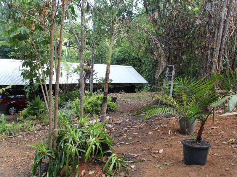 257 Utchee Creek Road, Utchee Creek QLD 4871