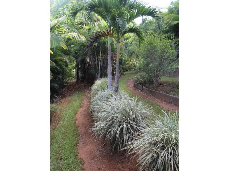 257 Utchee Creek Road, Utchee Creek QLD 4871