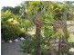 822 East Feluga Road, East Feluga QLD 4854