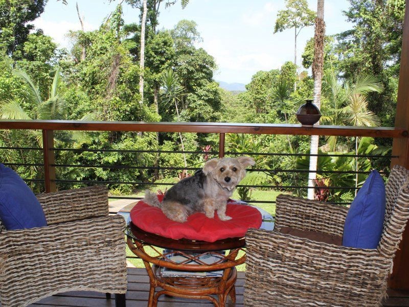 146 Lindsay Road, Carmoo QLD 4852