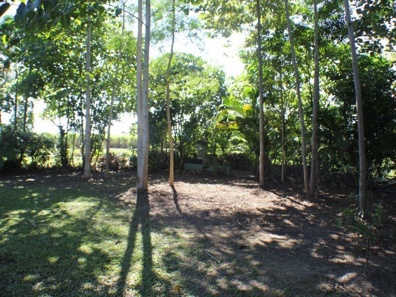 4 Walter Lever Estate Road, Silkwood QLD 4856