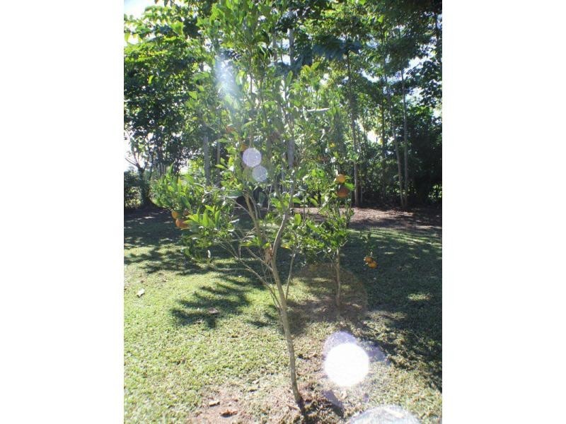 4 Walter Lever Estate Road, Silkwood QLD 4856