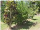 54 Mission Drive, South Mission Beach QLD 4852