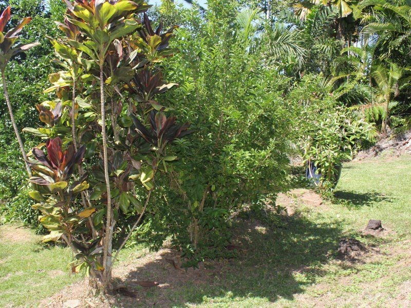 54 Mission Drive, South Mission Beach QLD 4852