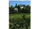 252 East Feluga Road, East Feluga QLD 4854