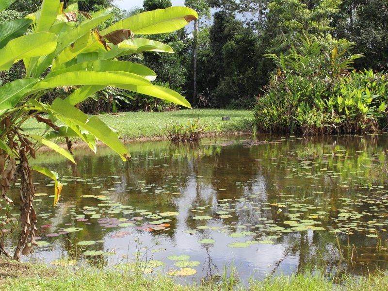 252 East Feluga Road, East Feluga QLD 4854