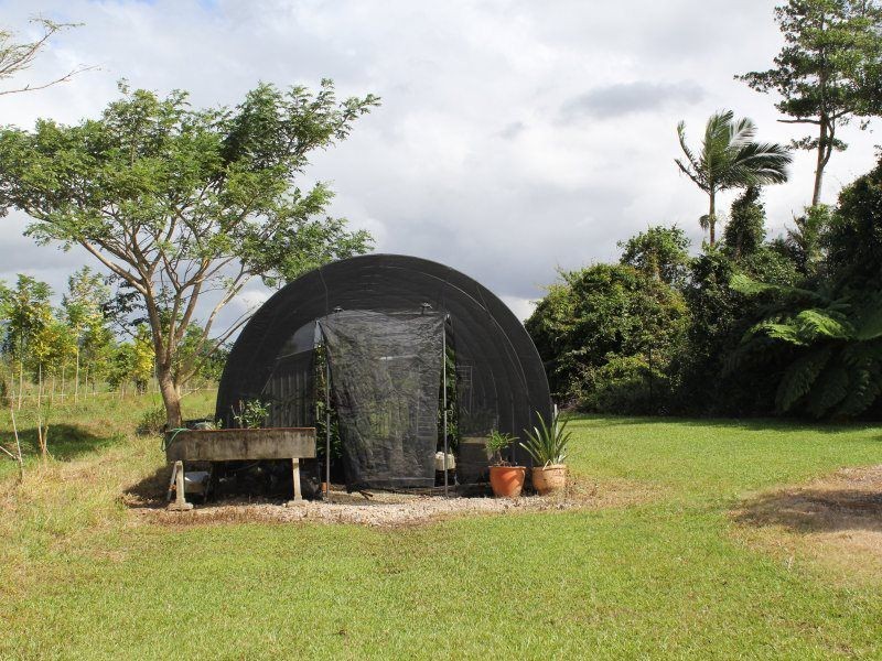 252 East Feluga Road, East Feluga QLD 4854