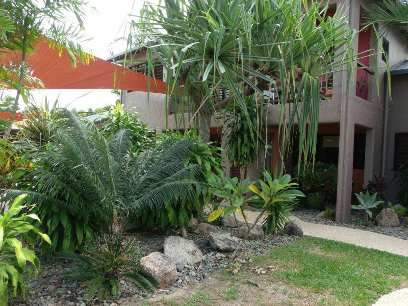 129 Reid Road, Wongaling Beach QLD 4852