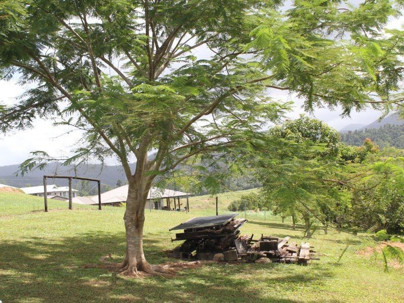 50 Stuart Drive, Feluga QLD 4854