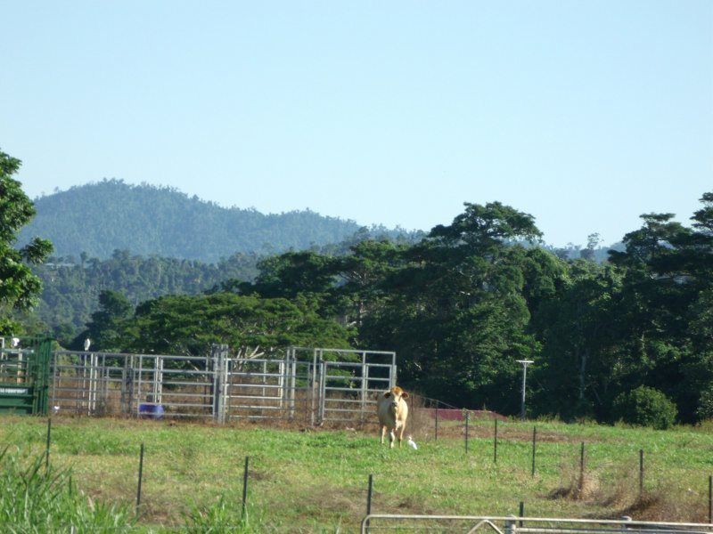 9 Rise Crescent, Mission Beach QLD 4852