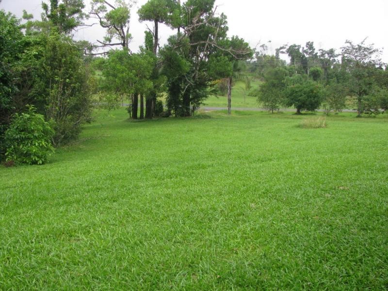 105 Lindsay Road, Carmoo QLD 4852