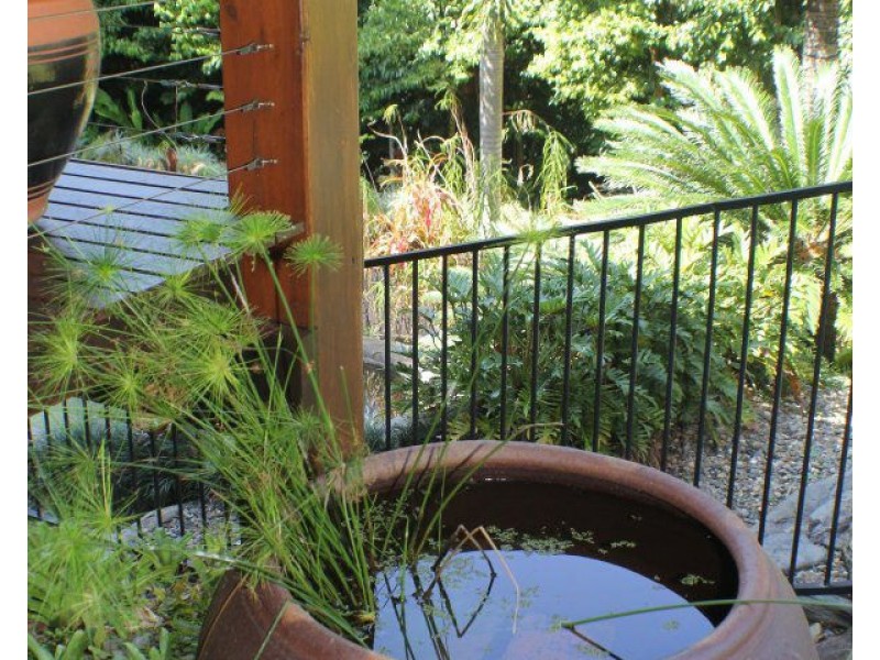 1/627 Bingil Bay Road, Bingil Bay QLD 4852