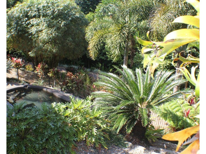 1/627 Bingil Bay Road, Bingil Bay QLD 4852