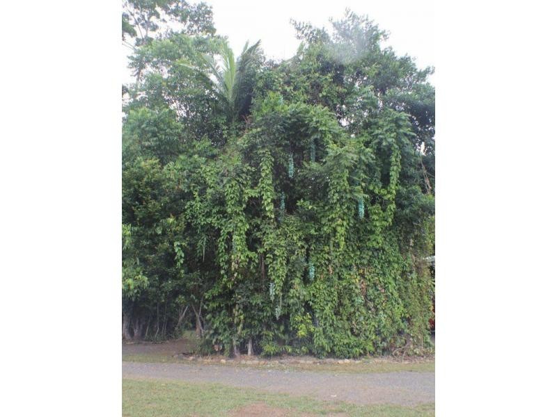 L2 Seres Road, Mena Creek QLD 4871