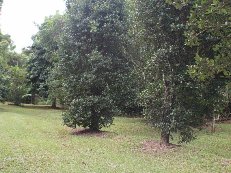 L2 Seres Road, Mena Creek QLD 4871