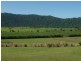 482 Walter Lever Estate Road, Walter Lever Estate QLD 4856