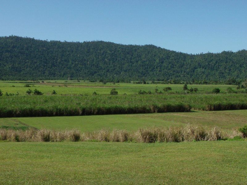 482 Walter Lever Estate Road, Walter Lever Estate QLD 4856