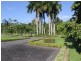 708 East Feluga Road, East Feluga QLD 4854
