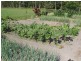 708 East Feluga Road, East Feluga QLD 4854