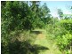31 Kode Road, Carmoo QLD 4852