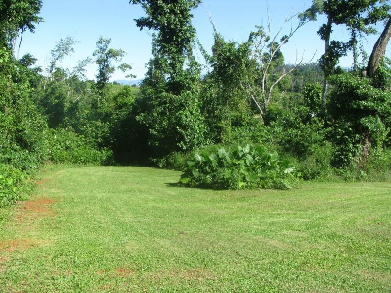 31 Kode Road, Carmoo QLD 4852