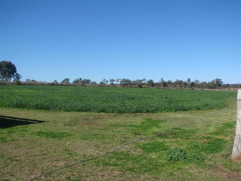 Warwick QLD 4370