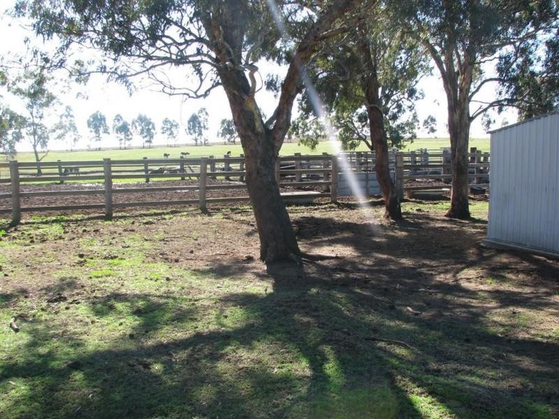 Warwick QLD 4370
