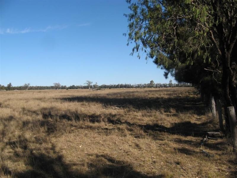 Millmerran QLD 4357