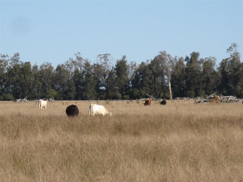 Millmerran QLD 4357
