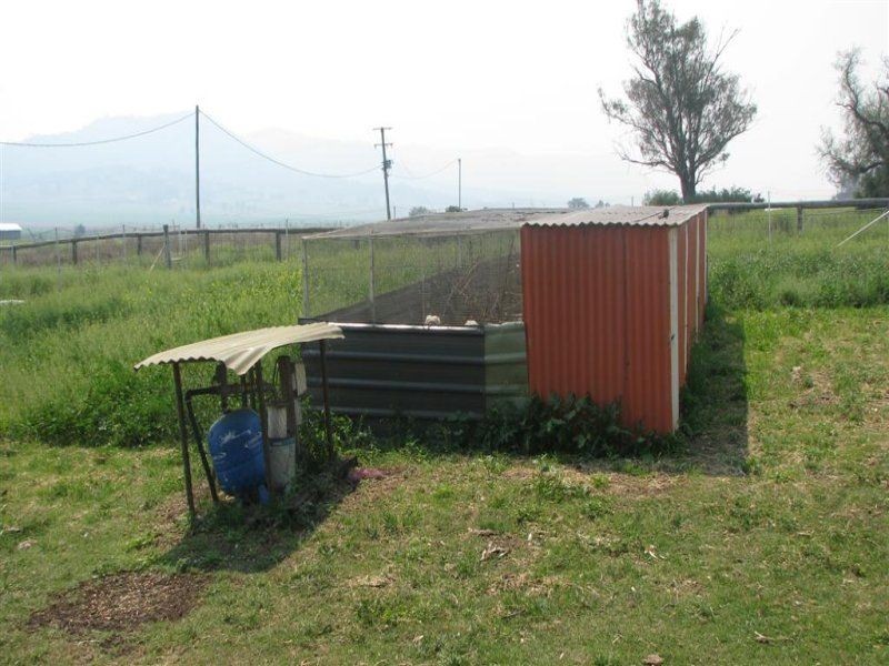 Warwick QLD 4370