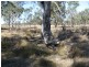 Thane QLD 4370