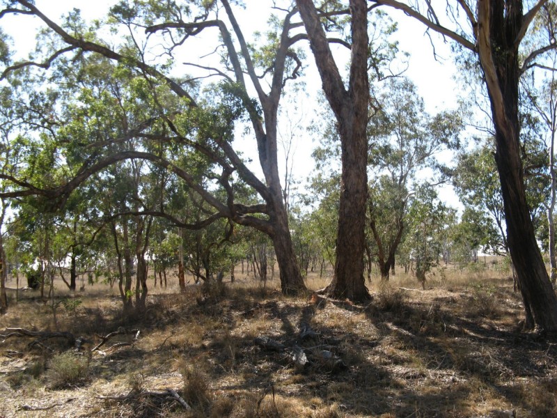 Thane QLD 4370