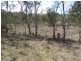 Thane QLD 4370